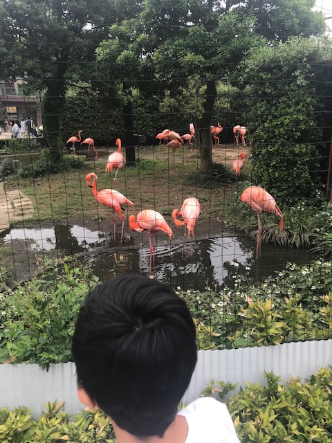 上野動物園♪